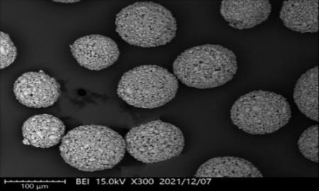 Micro porous ceramic